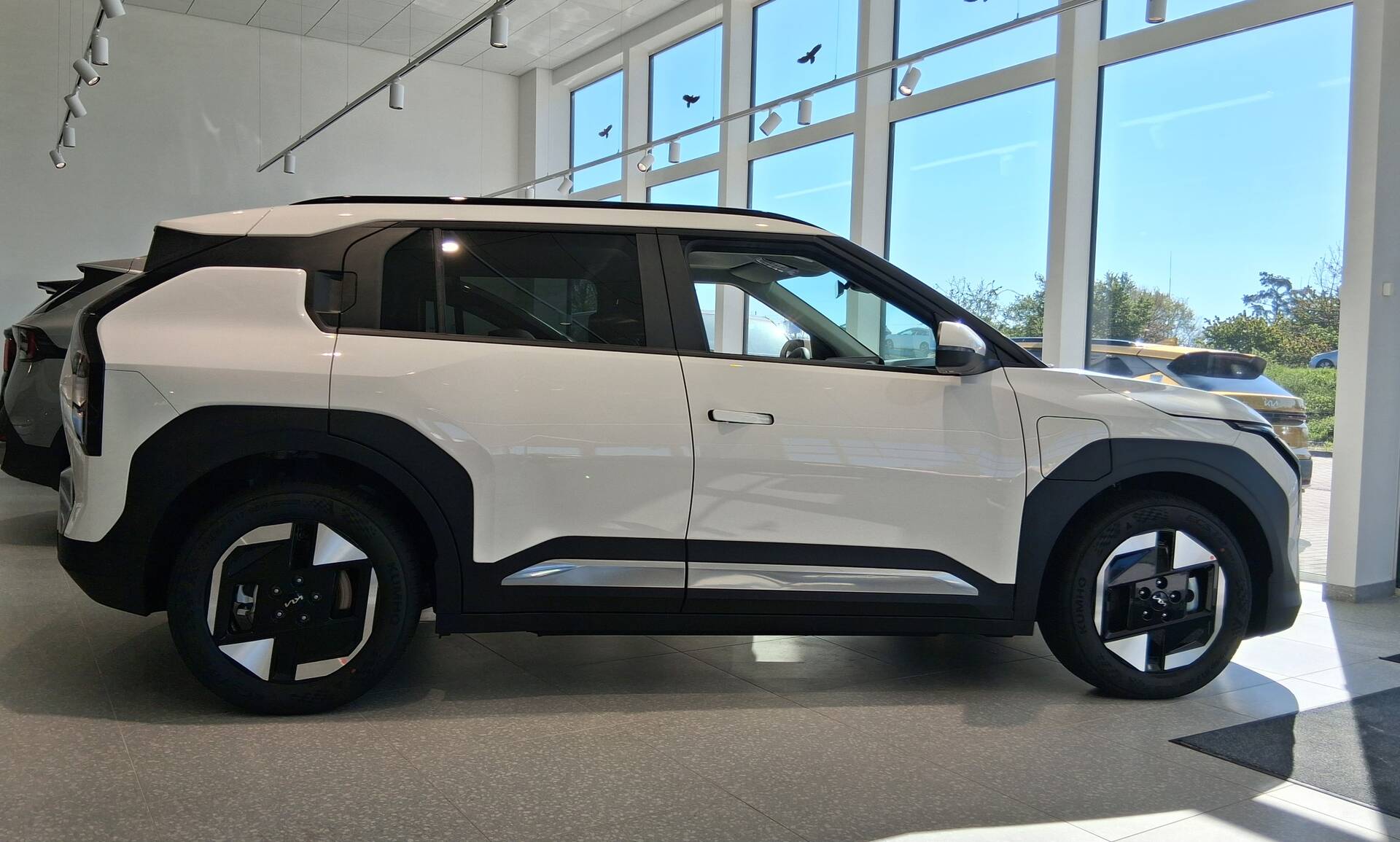Kia EV3 EV 150 kW EARTH
