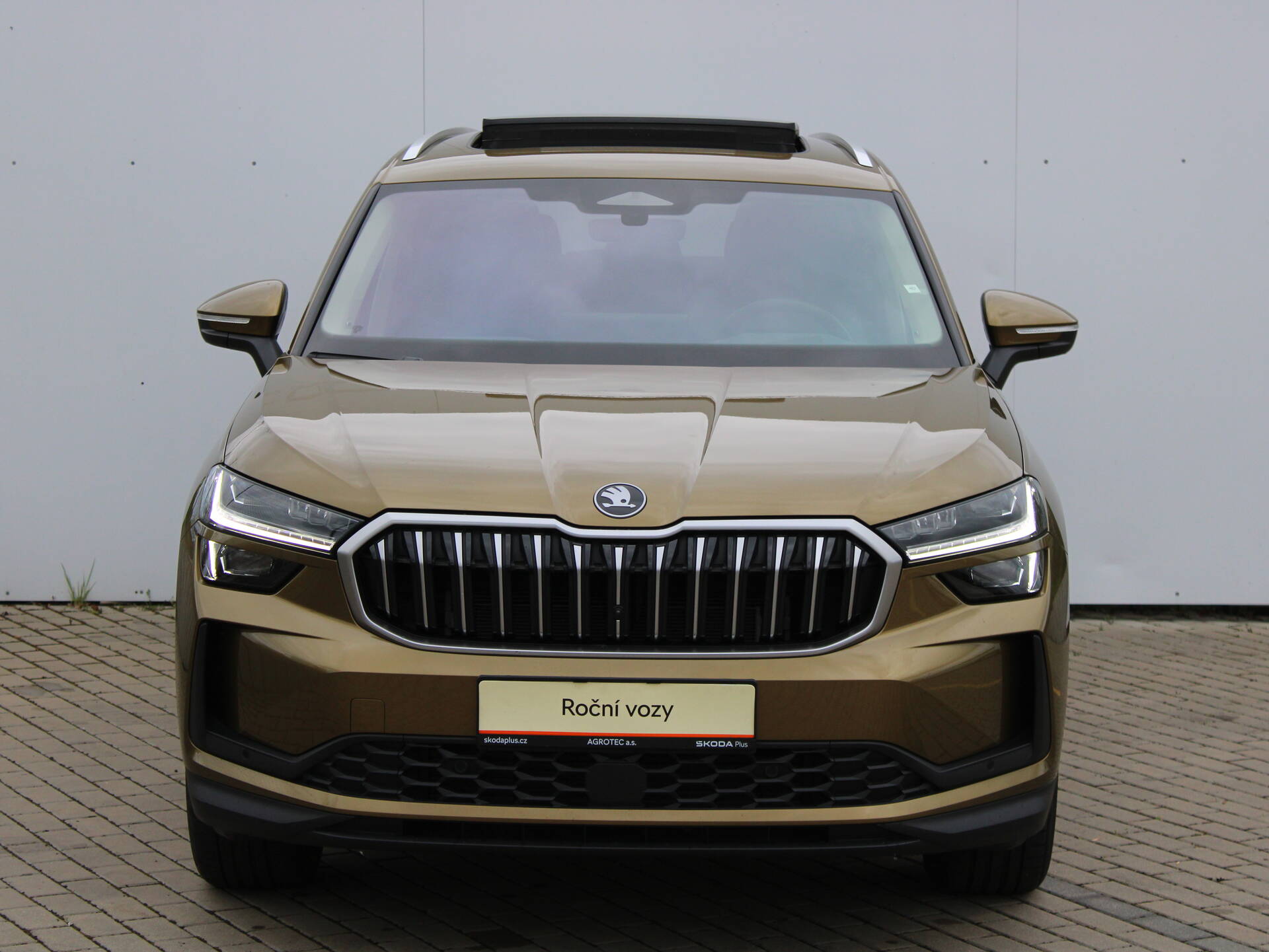 Skoda Kodiaq 2.0 TDI 142 kW Excl. Selection 4x4 DSG