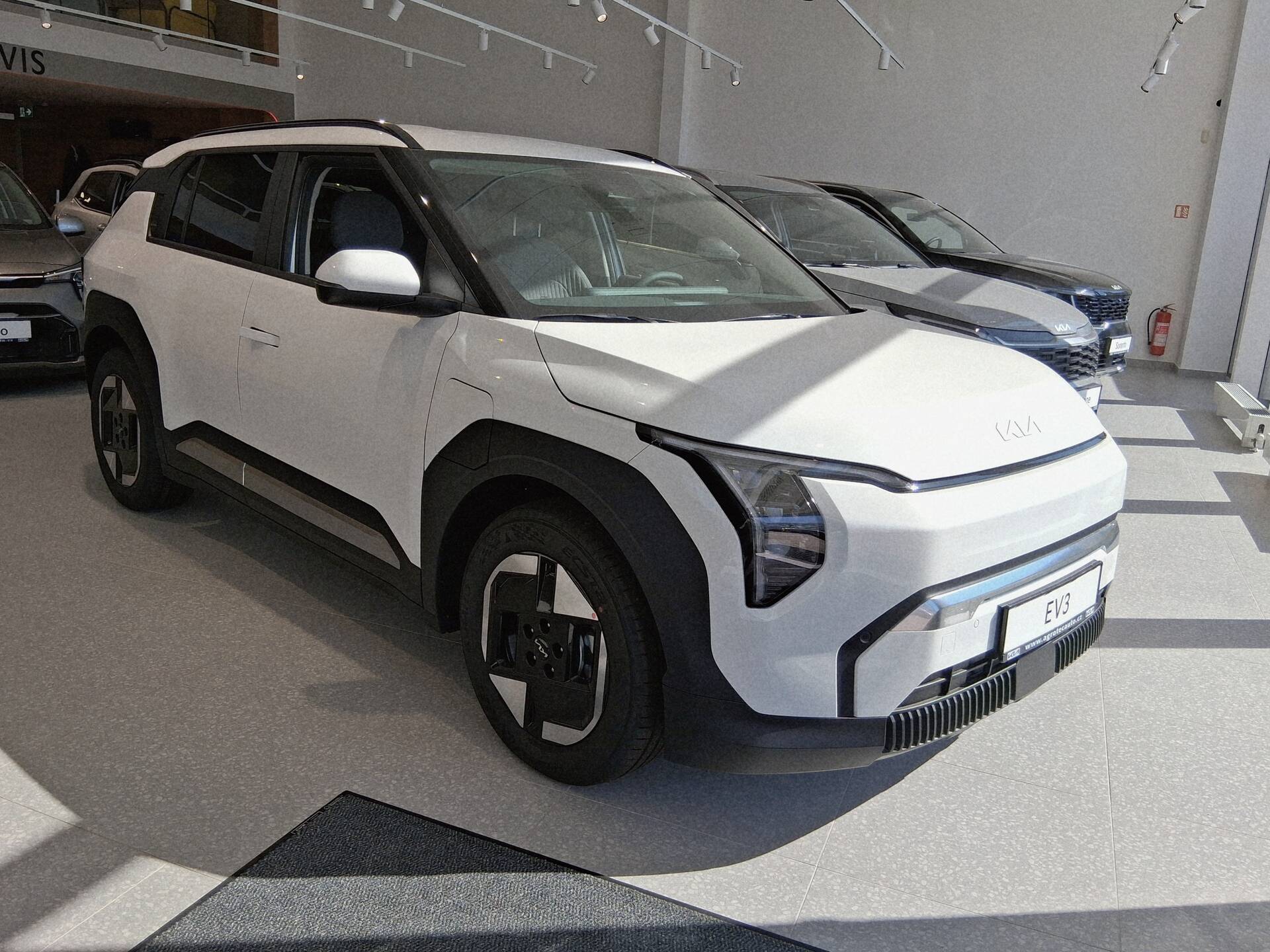 Kia EV3 EV 150 kW EARTH
