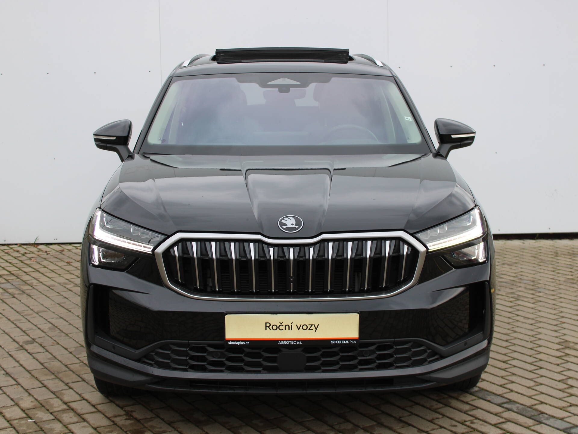 Skoda Kodiaq 2.0 TDI 142 kW Excl. Selection 4x4 DSG