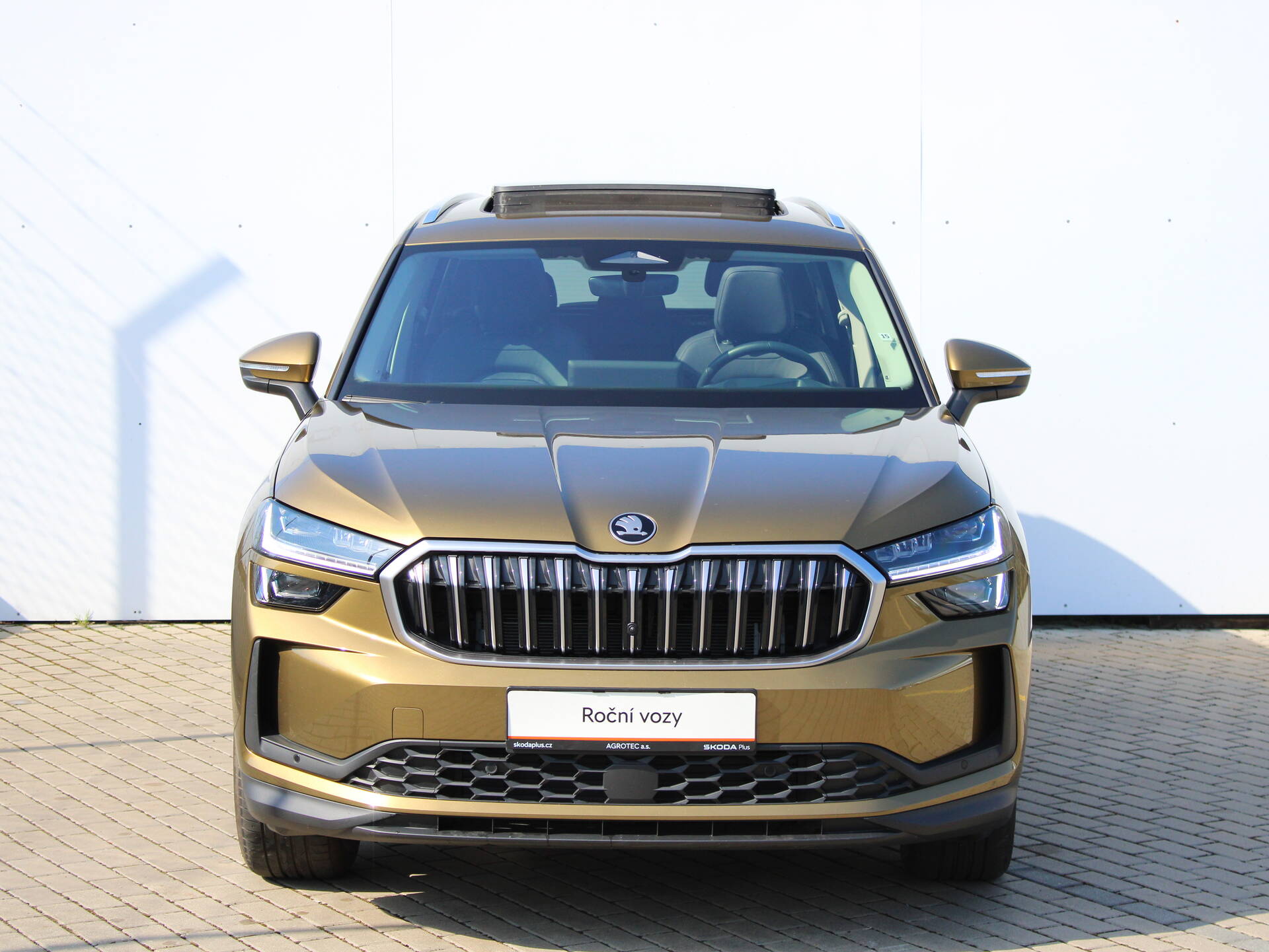 Skoda Kodiaq 2.0 TDI 142 kW Excl. Selection 4x4 DSG