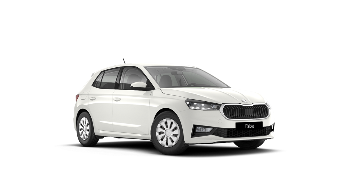 Škoda Fabia 1.0 MPI 59 kW  Selection